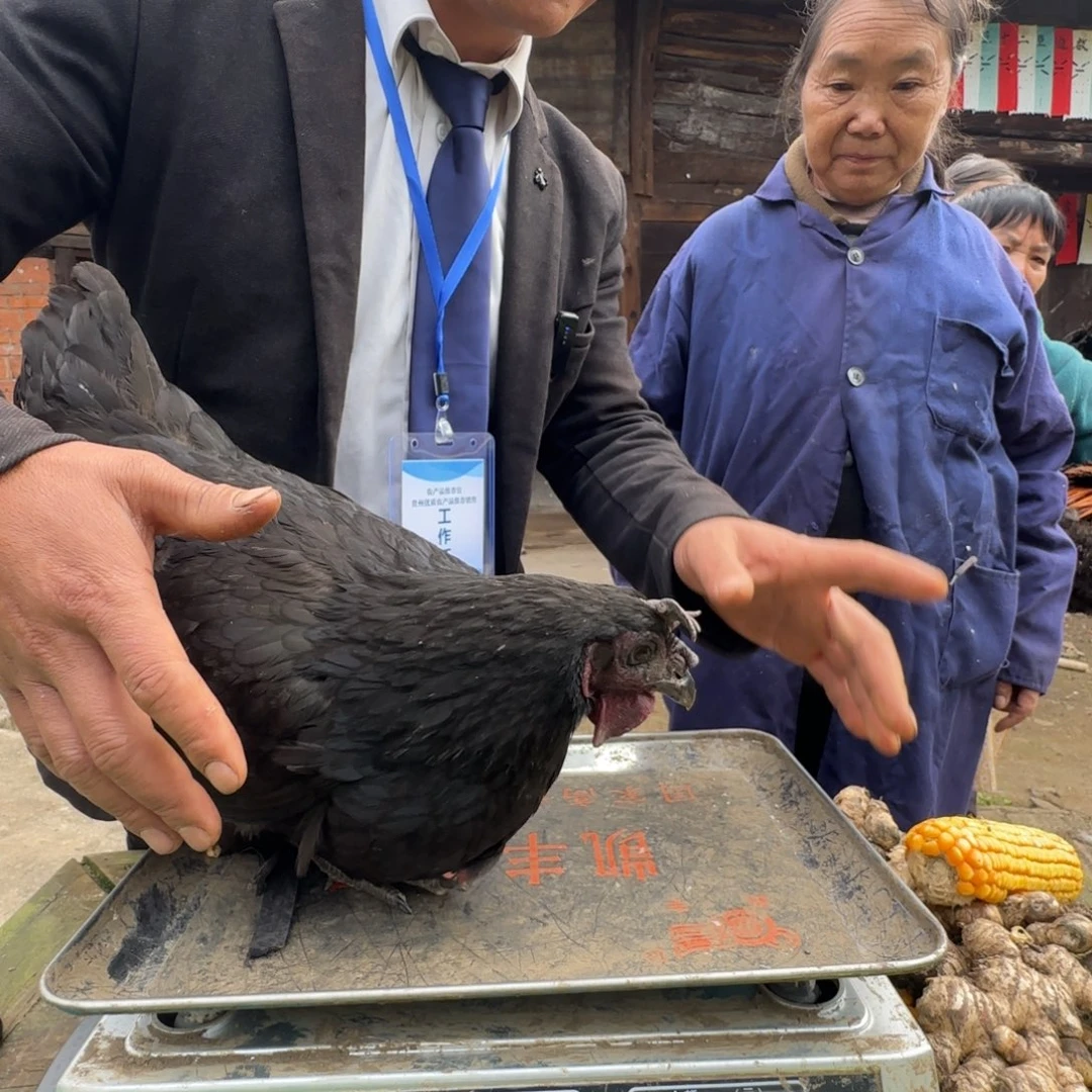 包装中国大陆2665，