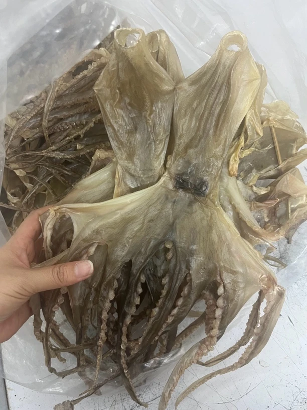 汕尾本港章鱼干淡晒原生态新鲜干货