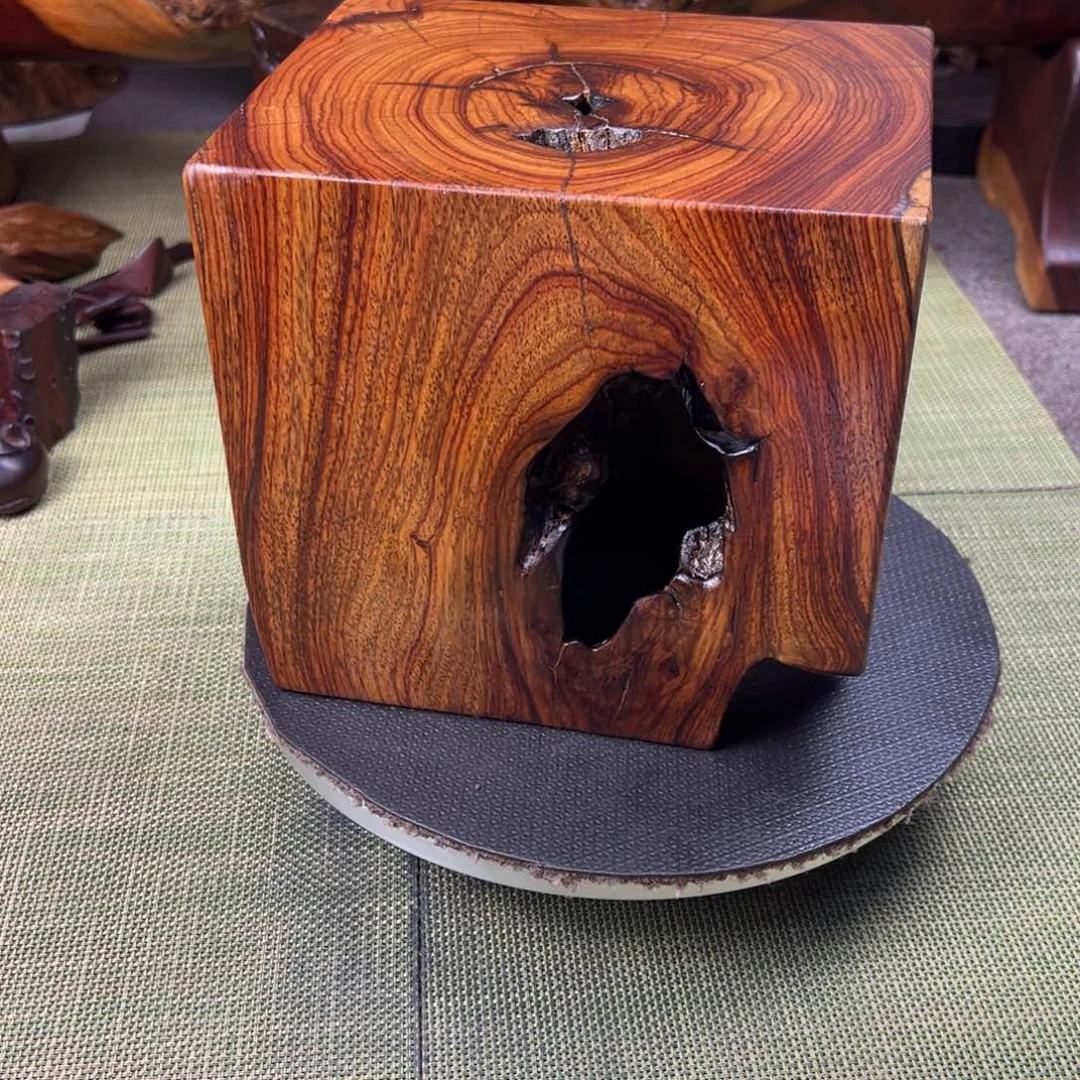 大果紫檀（缅甸花梨）潜**生