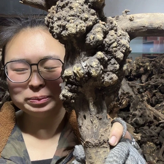 香榧木福**L火琉璃的毛料摆件