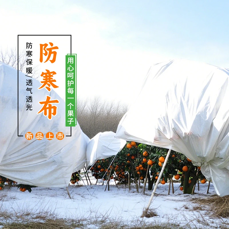 农夫一品果树专用防寒布50克柑橘越冬防冻布透气防水耐用抗老化