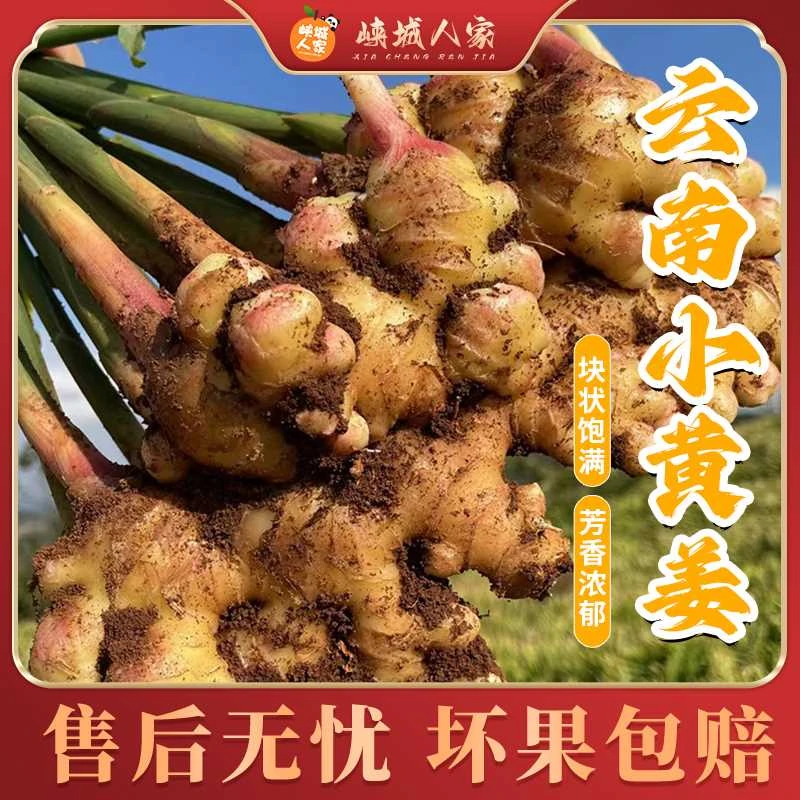 【峡城人家】云南小黄姜1/3/5斤