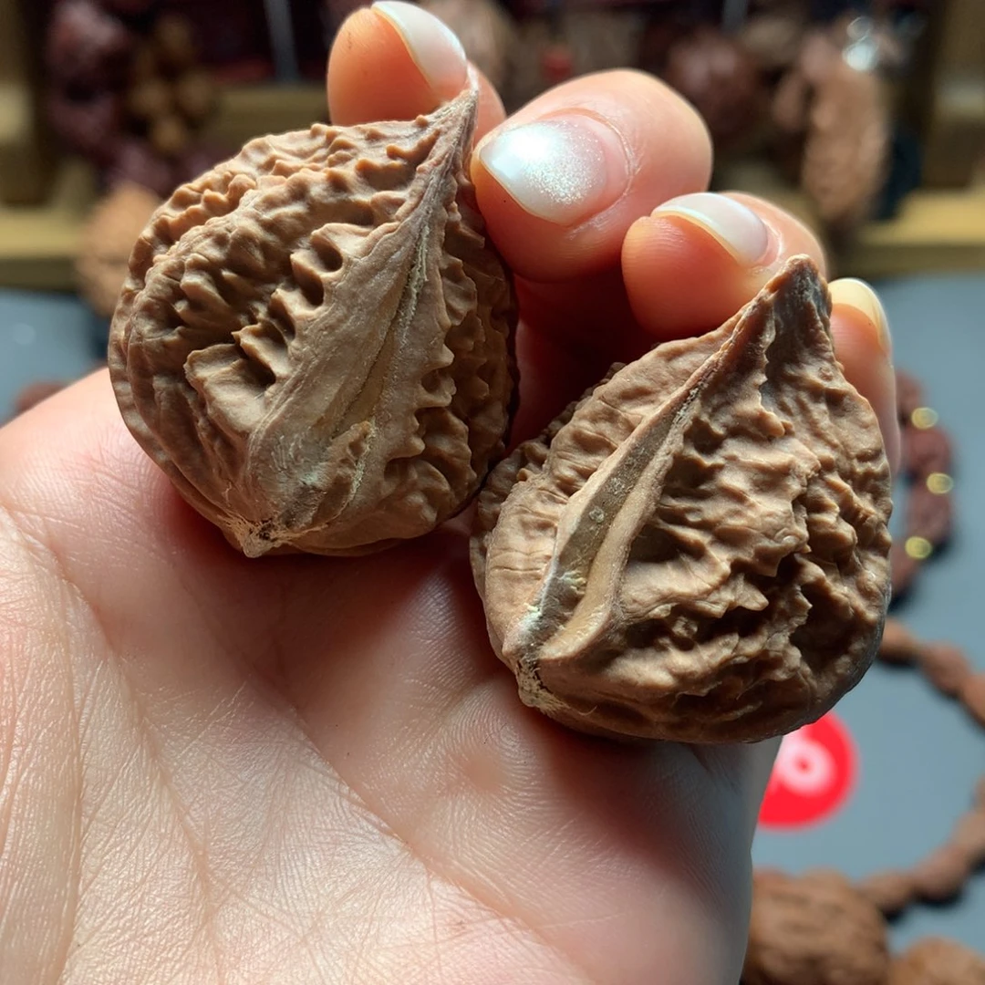 核桃23侨联半臂江山