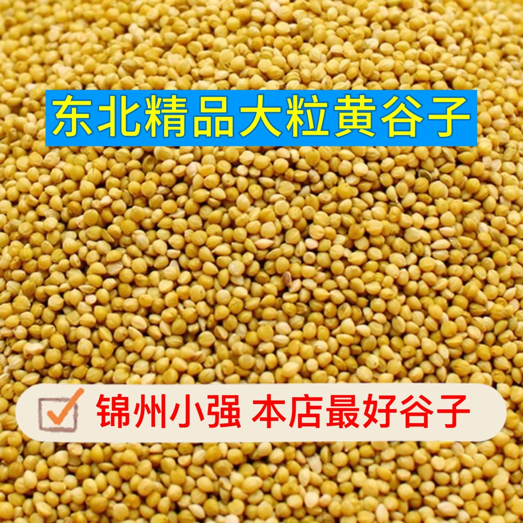 2025东北精品大粒黄谷子带壳小米鸟食鸟粮玉鸟文鸟中小型鹦鹉饲料