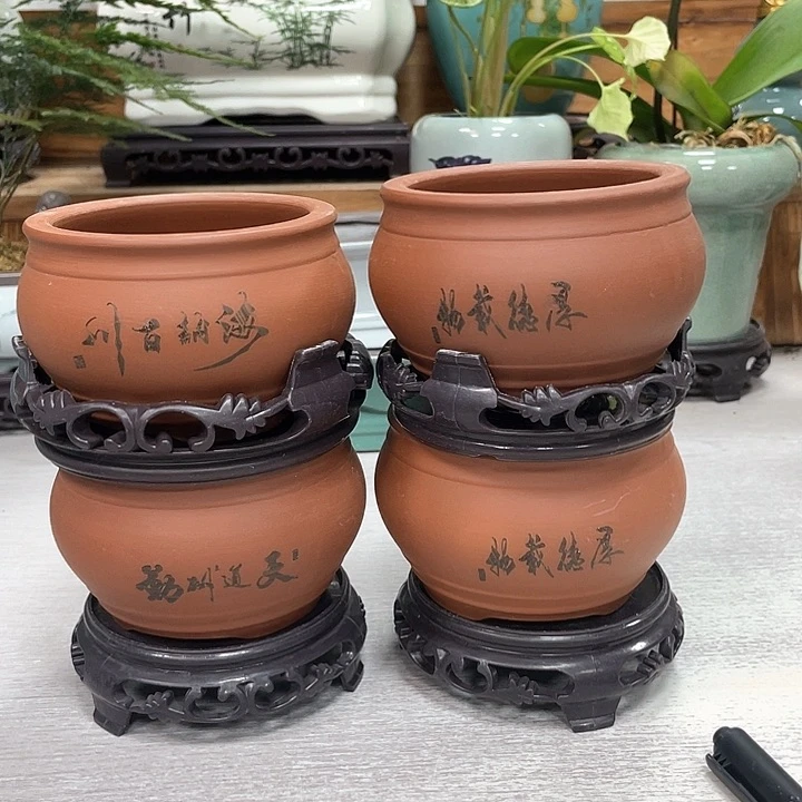 陶瓷紫砂花盆抢购福利