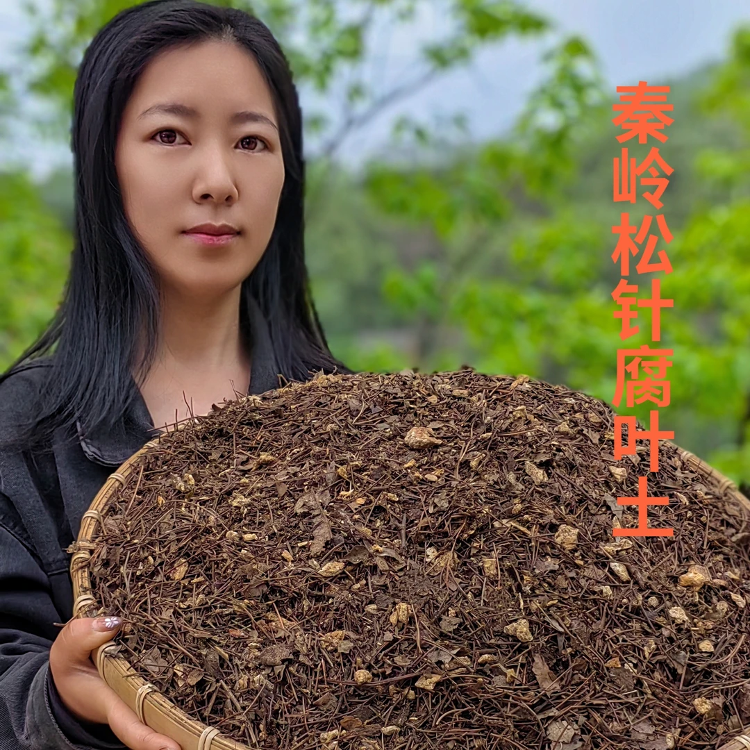 升级款 三合一纯松针腐叶土橡树叶香菇菌渣养花种菜通用型 送羊粪