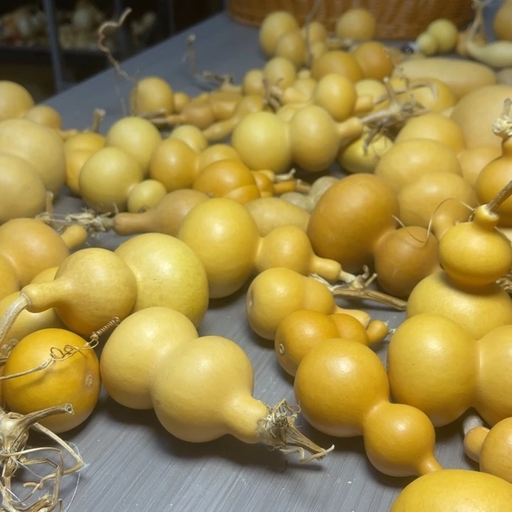 微***๑健健康康快快乐乐