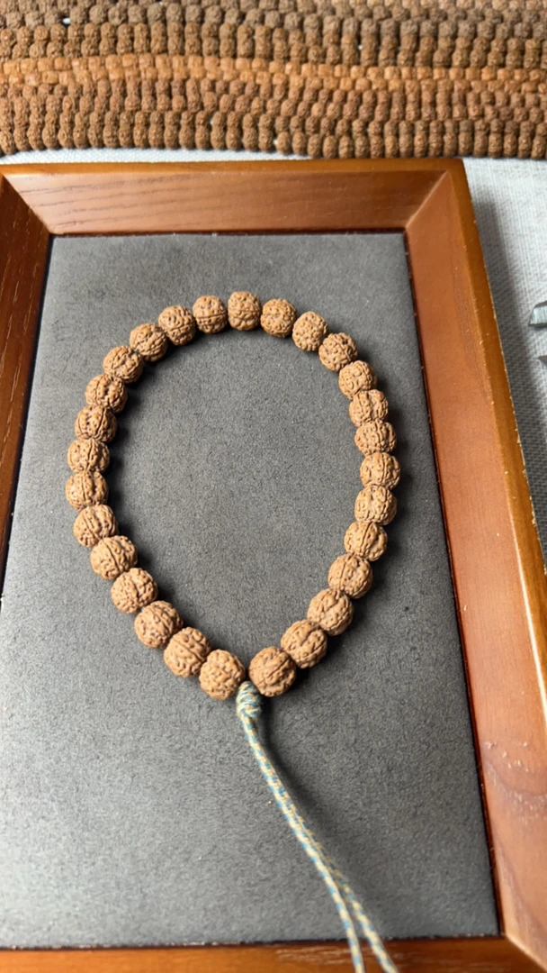 单圈头货老树梅花10.5