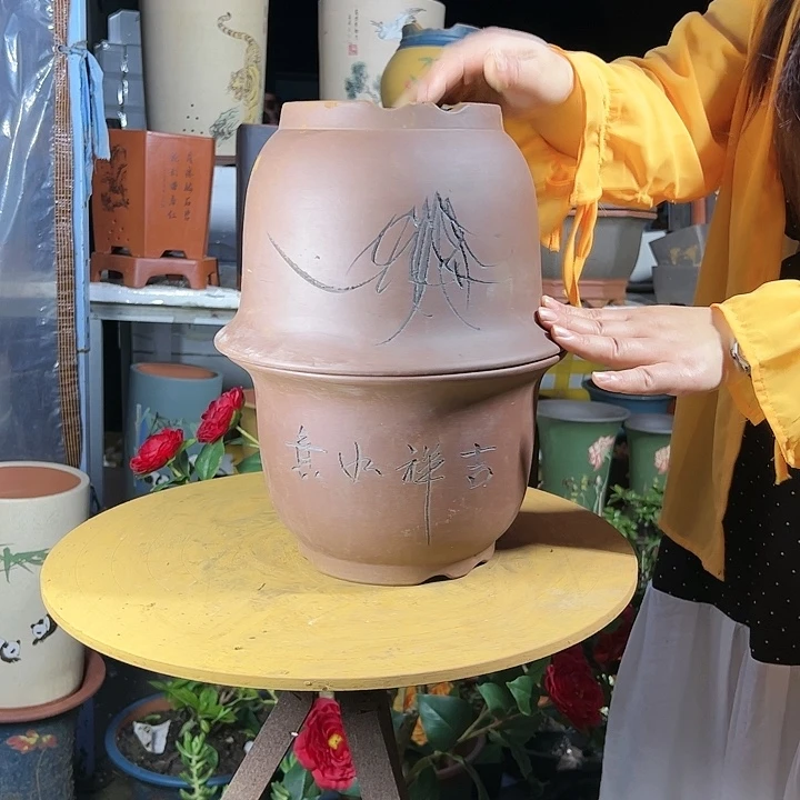 25-25平角金钟花盆花盆