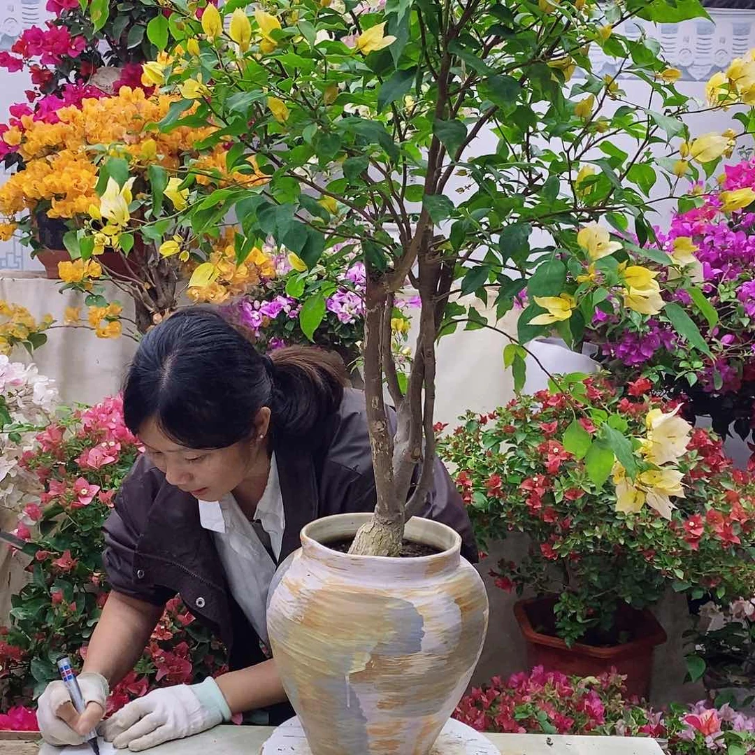 完全开放我要好好学习