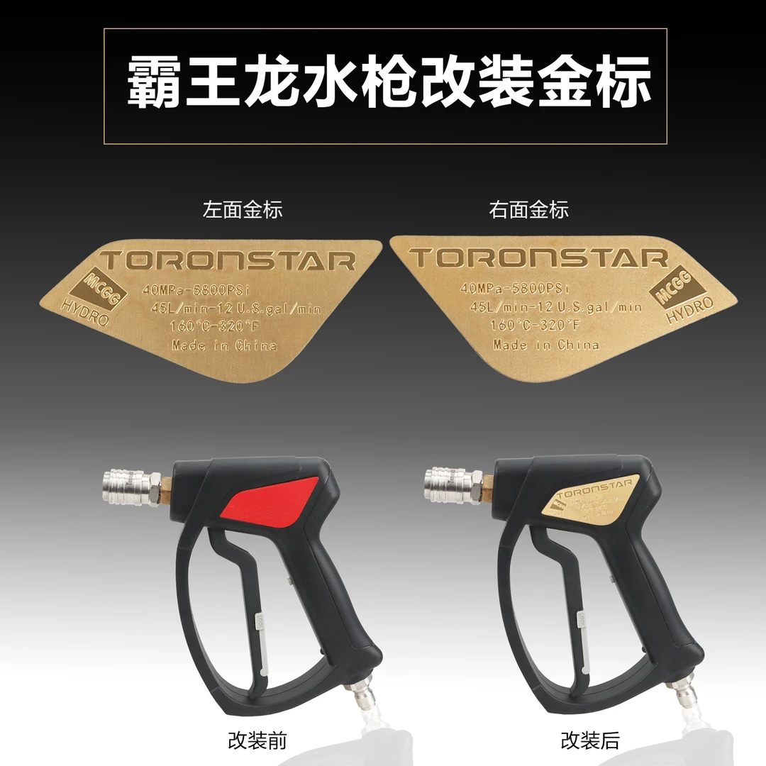 霸王龙水枪改装金标一对