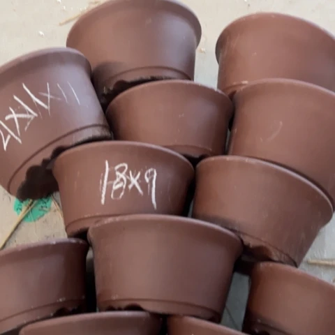 100-12。      组合。