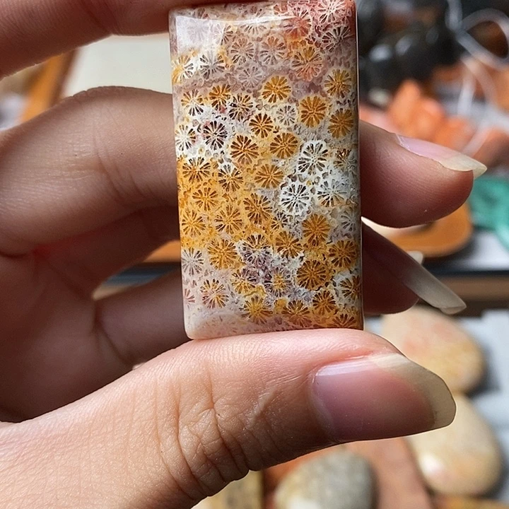 3***9硅化玉未镶嵌颈饰