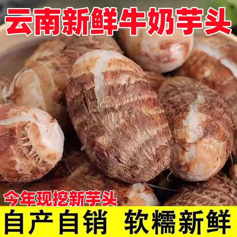 【香糯粉滑】云南牛奶芋头新鲜芋艿香甜软糯毛芋头小芋头香芋农家