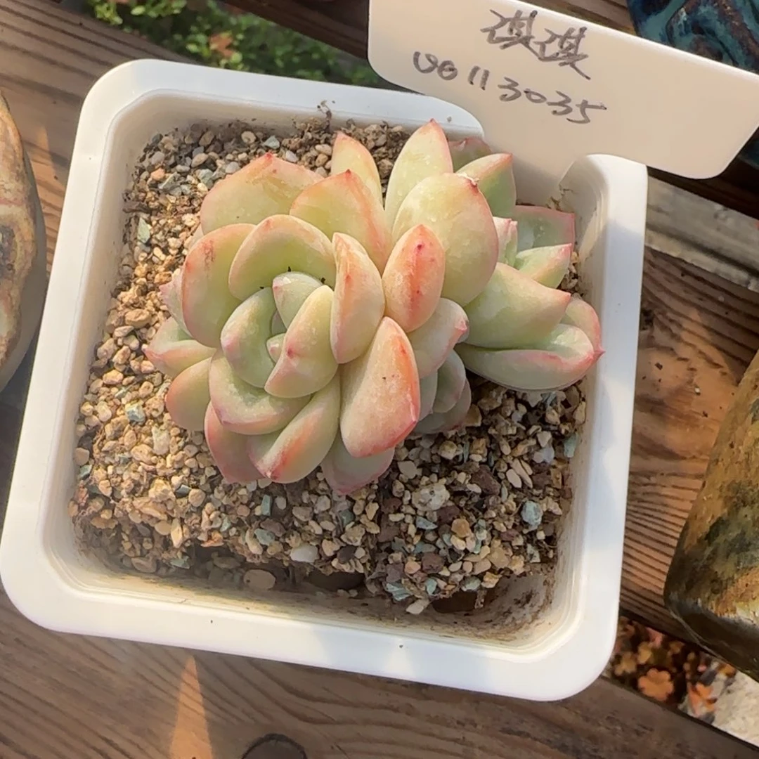 啊啊啊啊啊啊啊啊啊啊啊啊