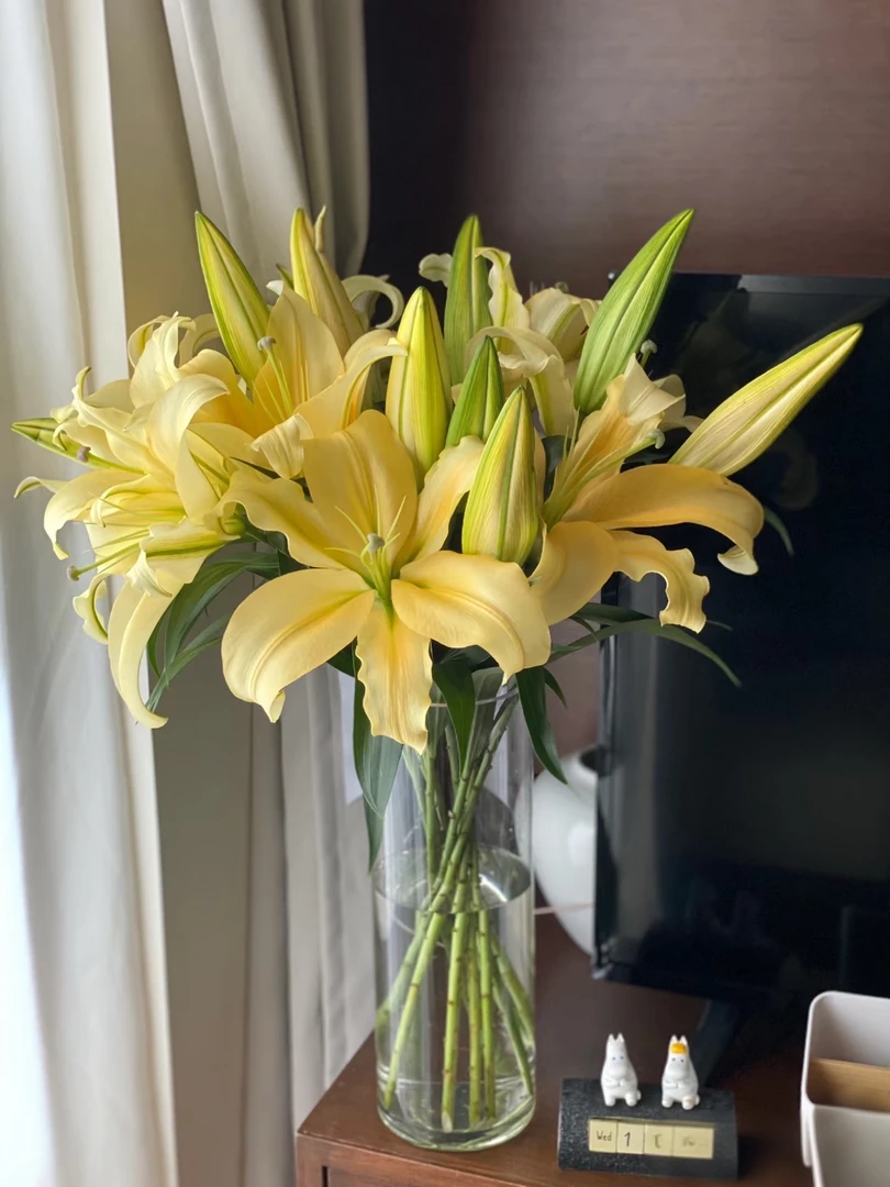 【金砖香水百合 】拍任意两单升级京东冷链 家用鲜切花插花