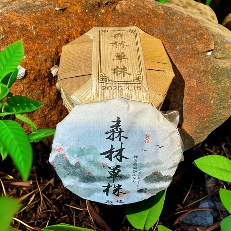 2025年   森林单株茶 50g*6饼（拍3单发21饼）