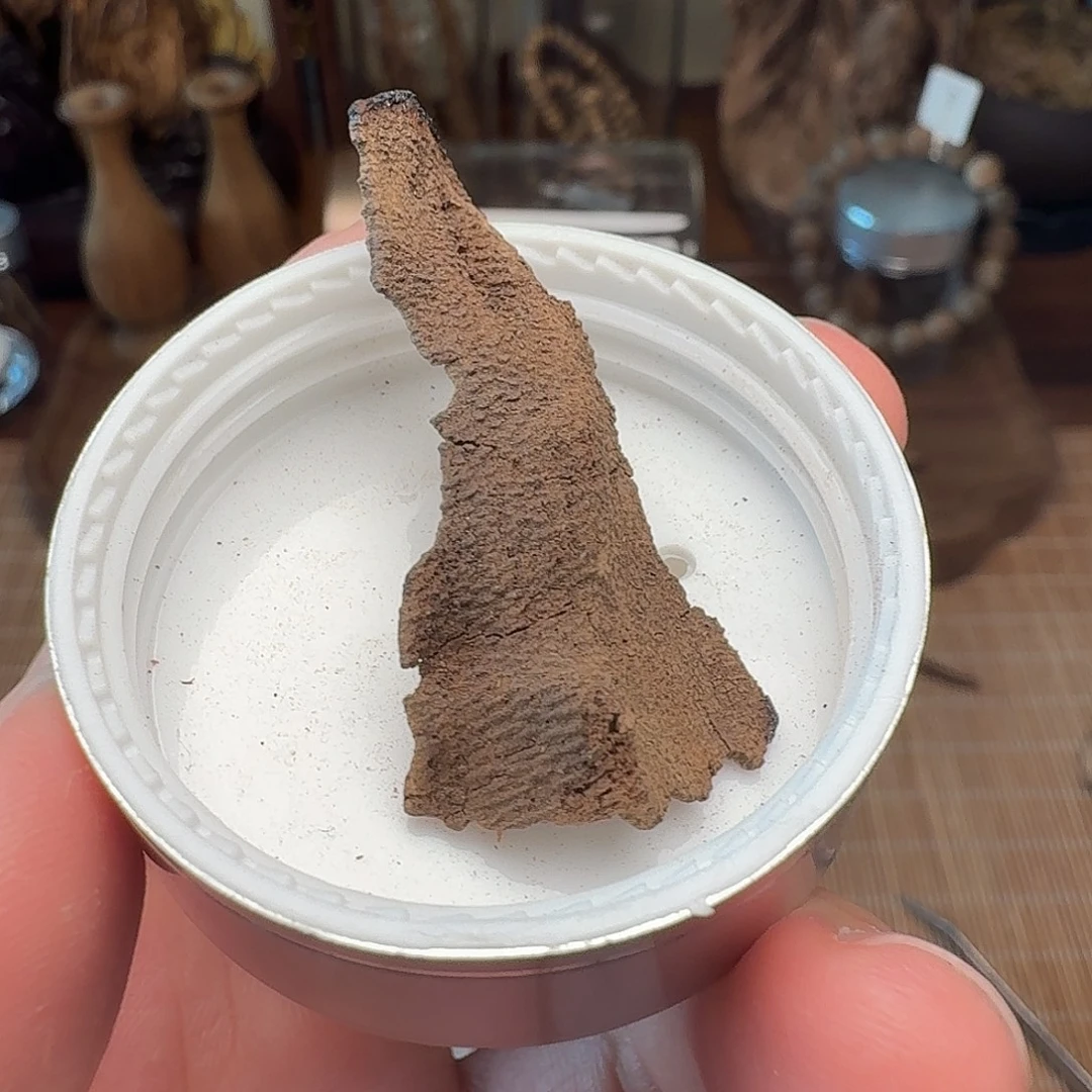 沉香香港鸡母虫漏
