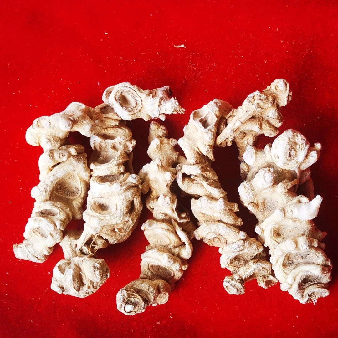 【藏地拉姆】天-王-参2 下单多赠元气粉