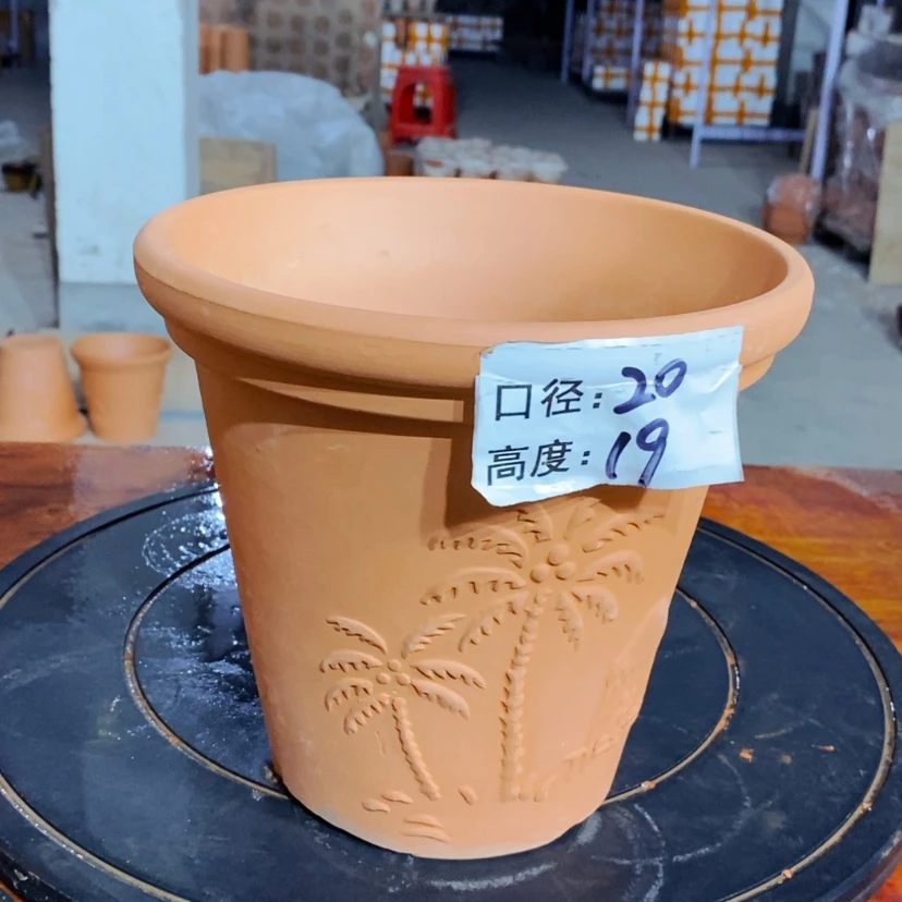 【闪购商品】椰树20×19-1