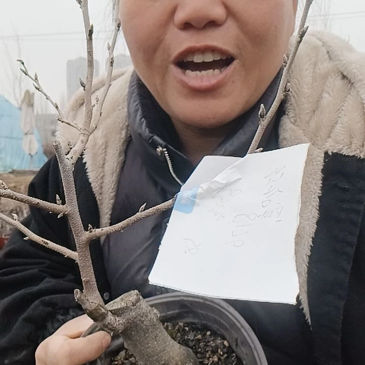 李***喜无花朵4568886699