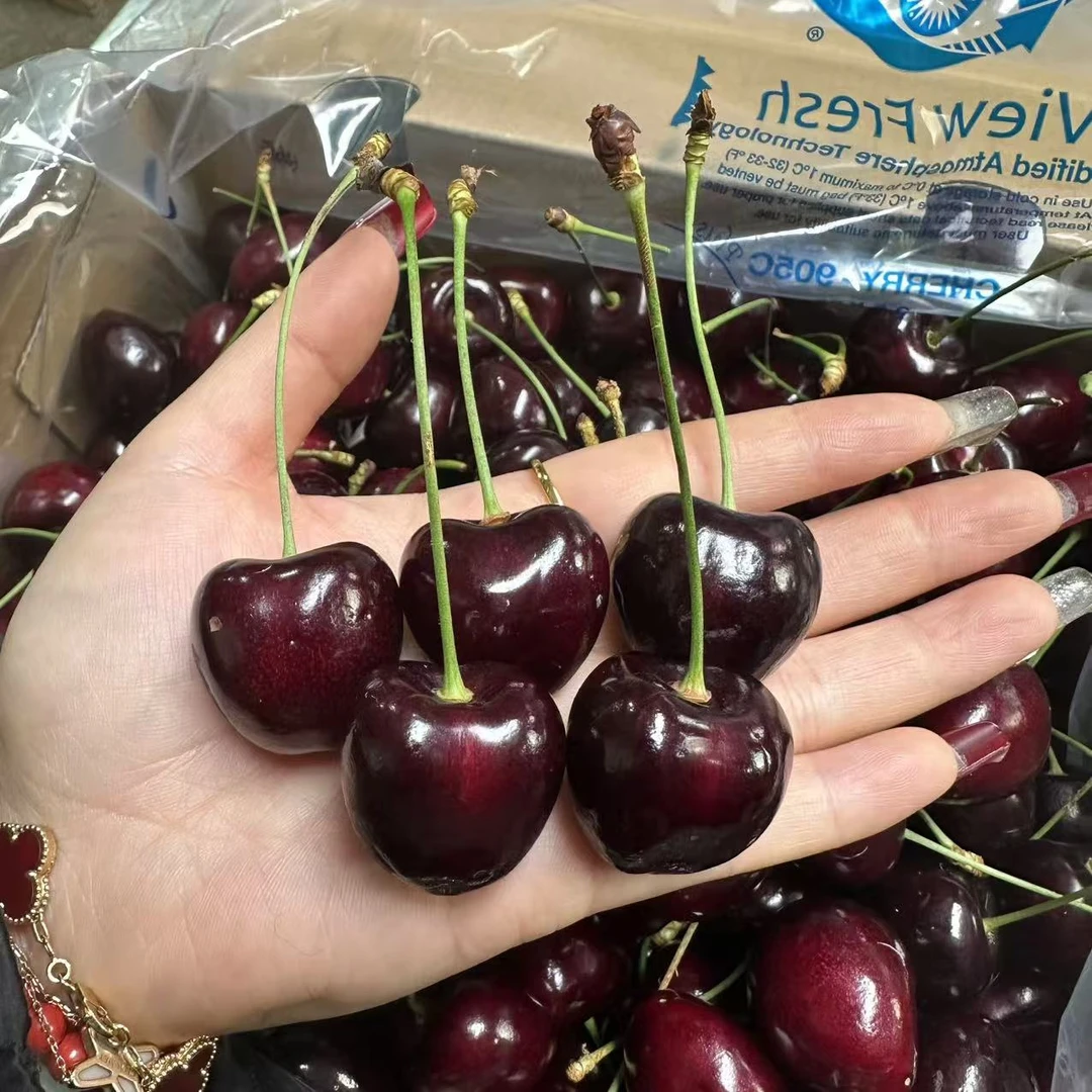 【科迪亚】JDD智利空运车黑车车厘子1.8斤/5斤 顺丰包邮 内附果径卡