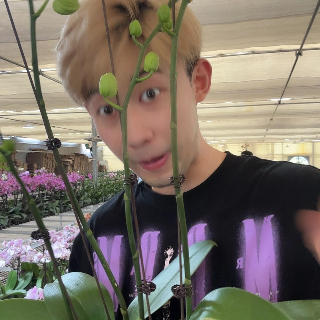 完全开放绿地球双花2