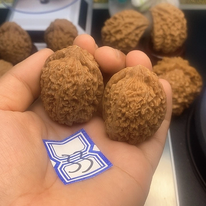 把件文玩核桃33大蒜头（水尖）