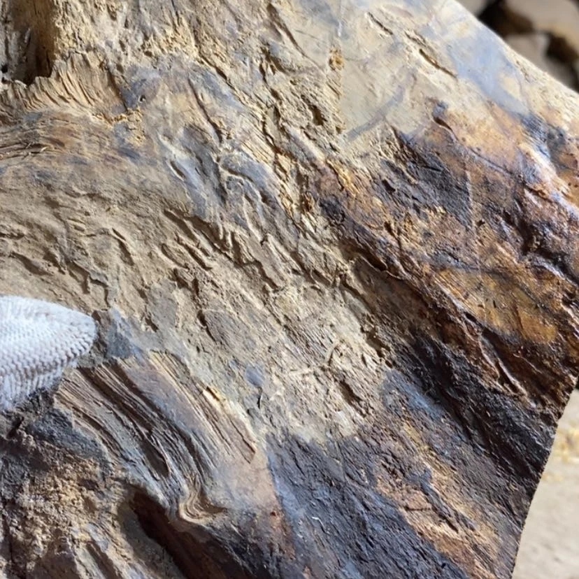 【闪购商品】把件贡木璠****品私人订制