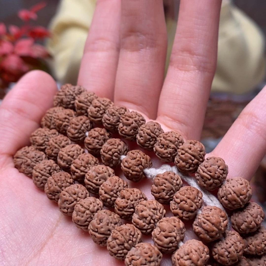 热***民菩提籽类树王卡10 108