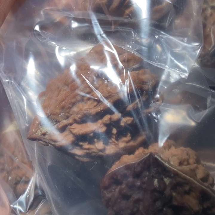 把件文玩核桃东北楸子小雪74