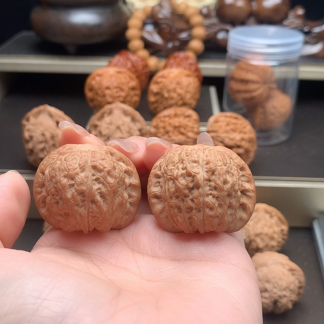 木质类原树血麒麟