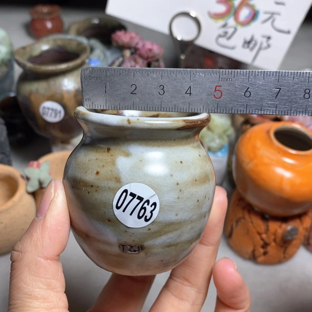 花盆拍5送一个小礼物