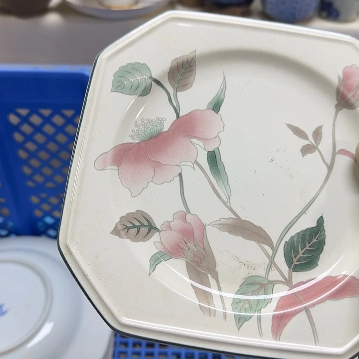 瓷片狸***橘开播啦…开播啦