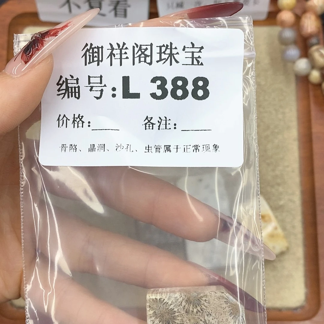 硅化珊瑚（珊瑚玉）颈饰未镶嵌玖*