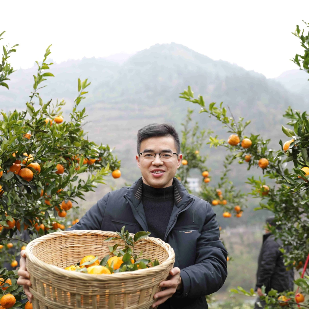 毕节大河口脐橙新鲜多汁香甜产地直供应季水果口感鲜美