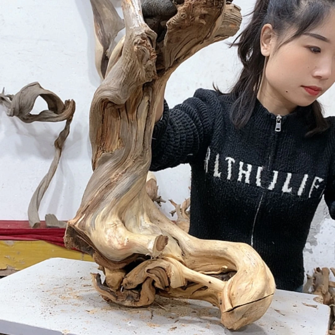 【闪购商品】柏木大***~我们都是好孩子