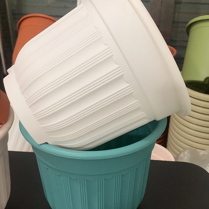 罗马口21高18白4个无托