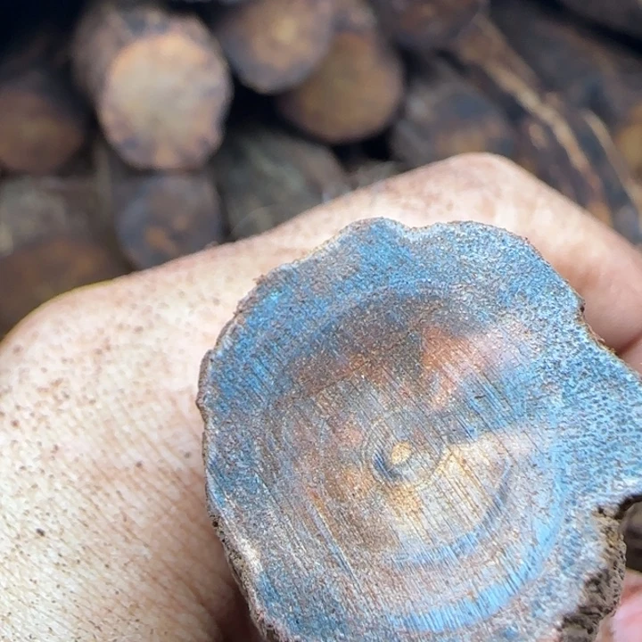 相***次木降真香原料私人定制