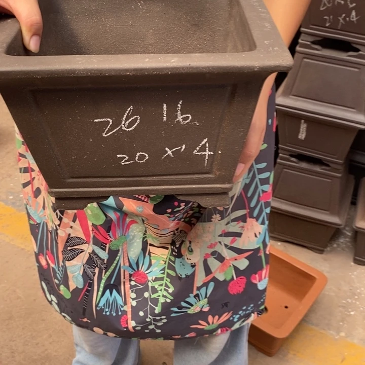 花盆紫砂只顾吃药睡个