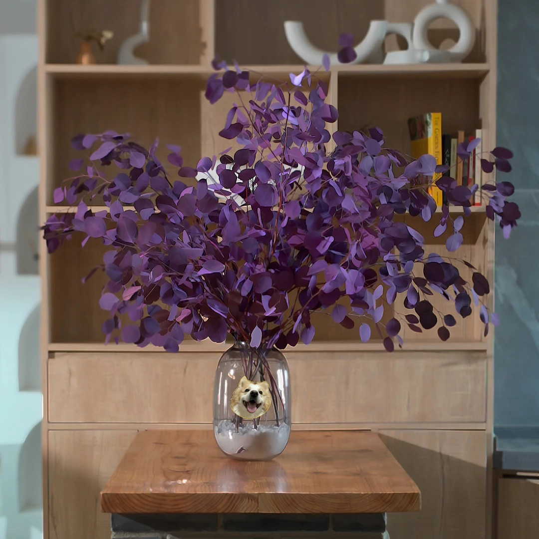 二狗家 苹果叶永生小众花材