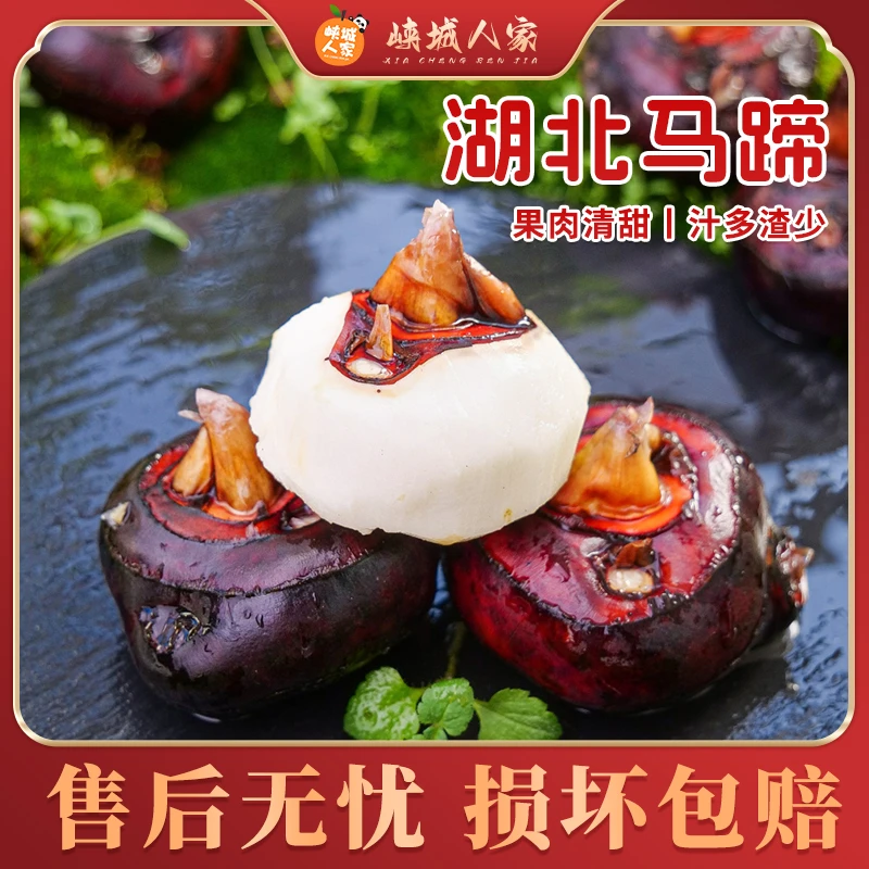 【峡城人家】湖北马蹄5斤清甜脆嫩多汁现挖现发