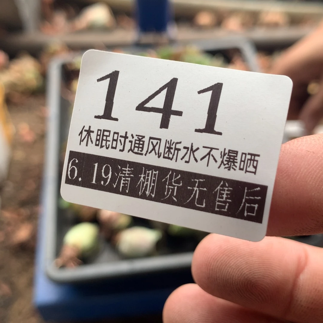 在****中基地清棚福利款141