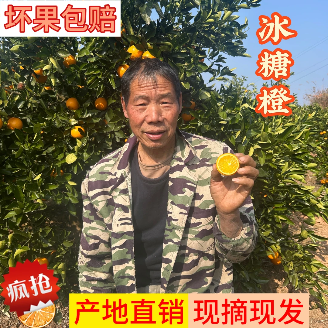 【刘书记助农】湖南芷江冰糖橙新鲜橙子产地直销带叶现摘手剥甜橙