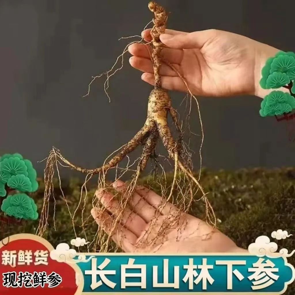 改价链接 长白山野山参 林下籽货 送种子