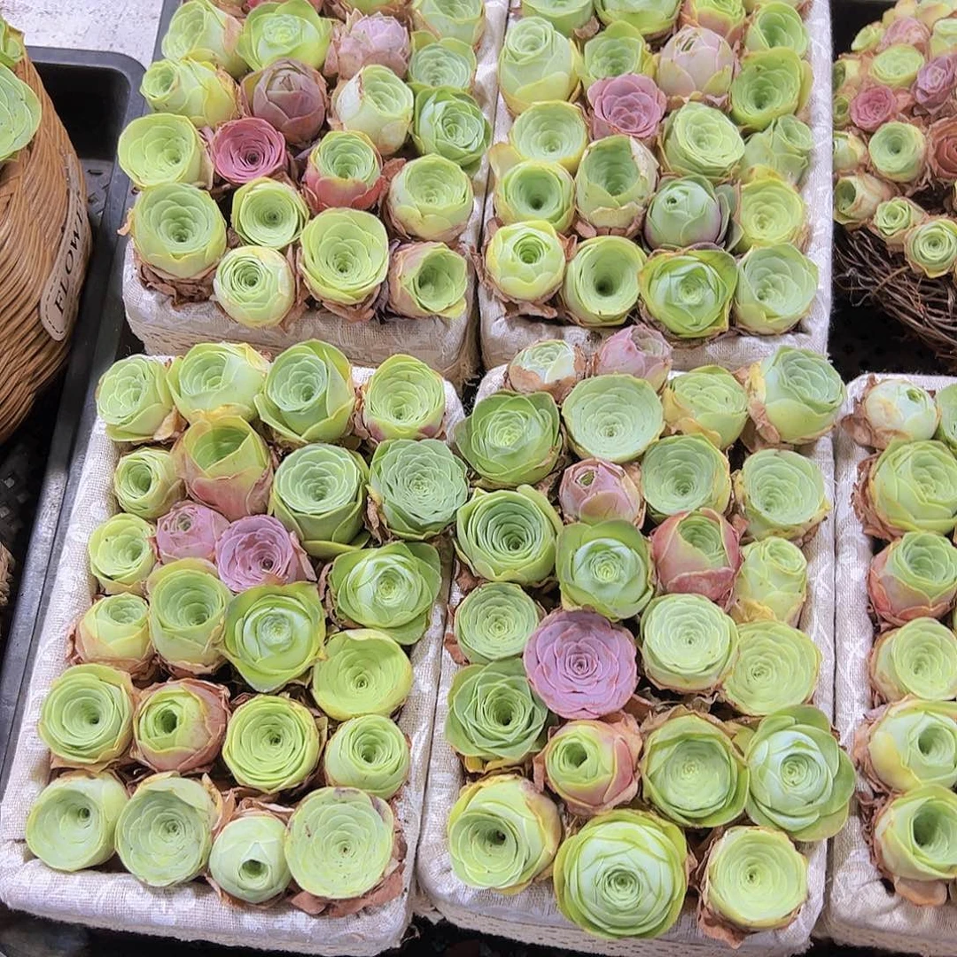 方框24躲拼带框发货