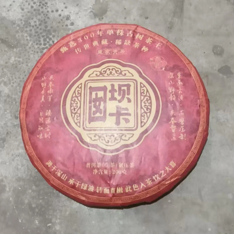 坝卡囡单株古树茶王生茶 秘境古树 兰花蜜韵回甘 源头200g/砖