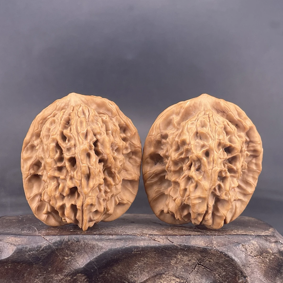 非嫁接马老四狮子头