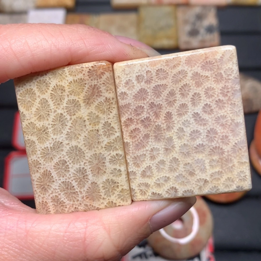 【闪购商品】硅化玉颈饰未镶嵌?**。