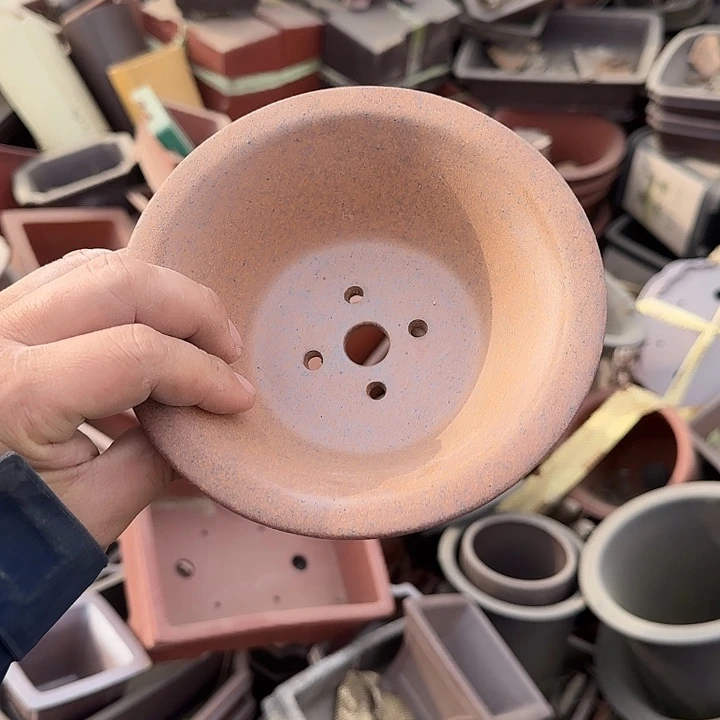 是一个不知名作家与著名导演兼电影演员们